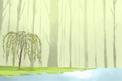 这样去黑双子座合不合适？