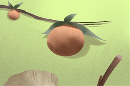 叶氏女孩姓名大全_好听的名字在这里