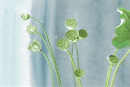 裴恩每周星座运势【2016.12.26-1.1】