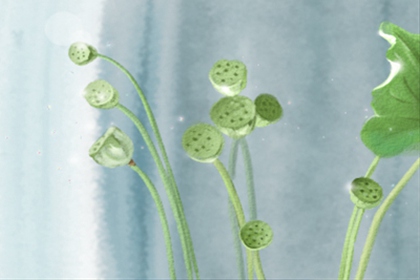 马乔丽&middot;奥尔每周星座运势【2016.12.27-1.2】