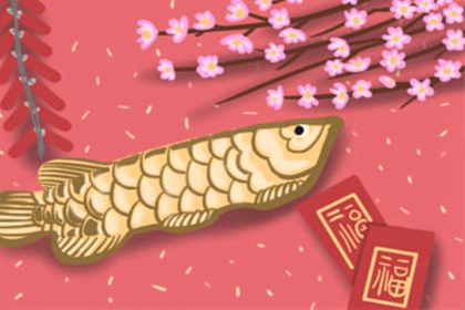十二星座