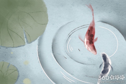 柒爸每周星座运势【2017.1.9-1.15】