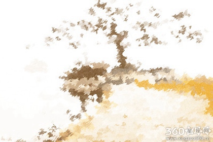 你有一个奇葩的处女座舍友吗？