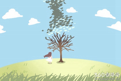 塔罗哈比熊2017年1月摩羯座运势