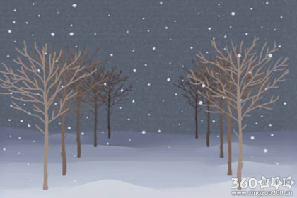 蒂姆2017年狮子座运势