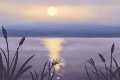 海百合每日星座运势