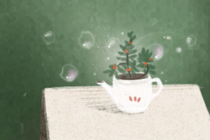 生肖马养什么植物能提升财运？