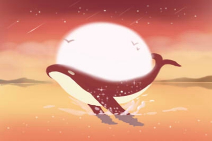 处女座内心孤独的完美主义者