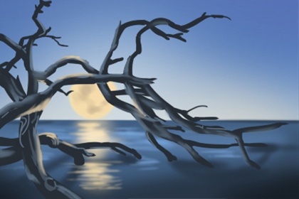 晨霁每周星座运势【2017.3.6-3.12】