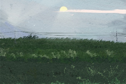 爱情测试