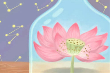 爱情测试
