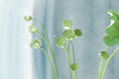 狮子座的桃花运大盘点