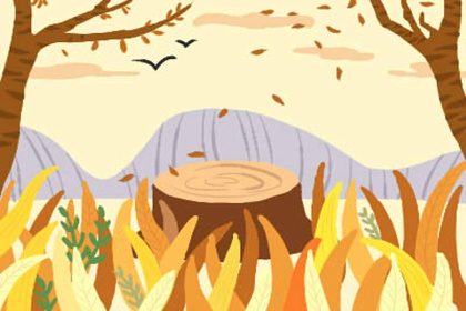 山根