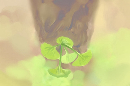 重阳节