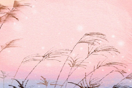 双鱼女分别适合什么范儿