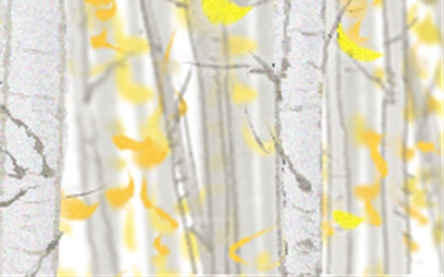 属蛇女的少女心体现在哪方面