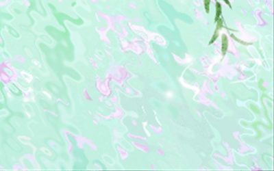 菩提子