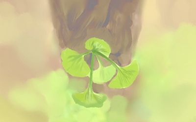 窗户风水