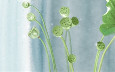 光棍节