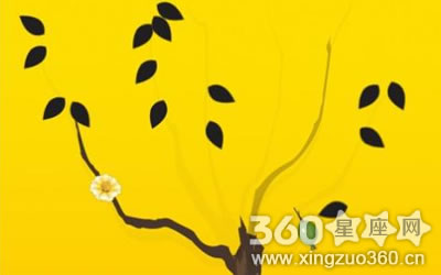 婚姻树青果一定不好吗 需要注意什么