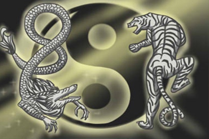 竹猫星球星座周运【2017.11.6-11.12】