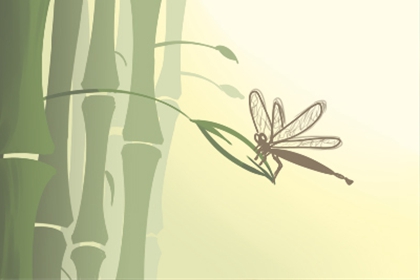 宝宝小名