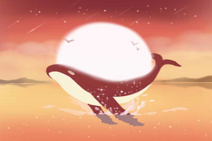 十二星座