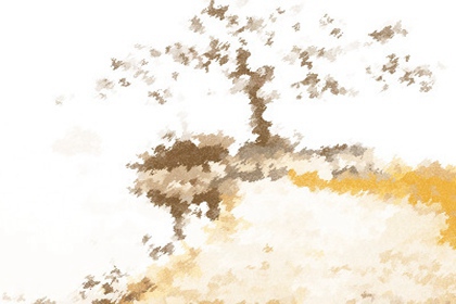 风水学