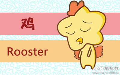 属鸡人在相亲时最看重对方什么特质